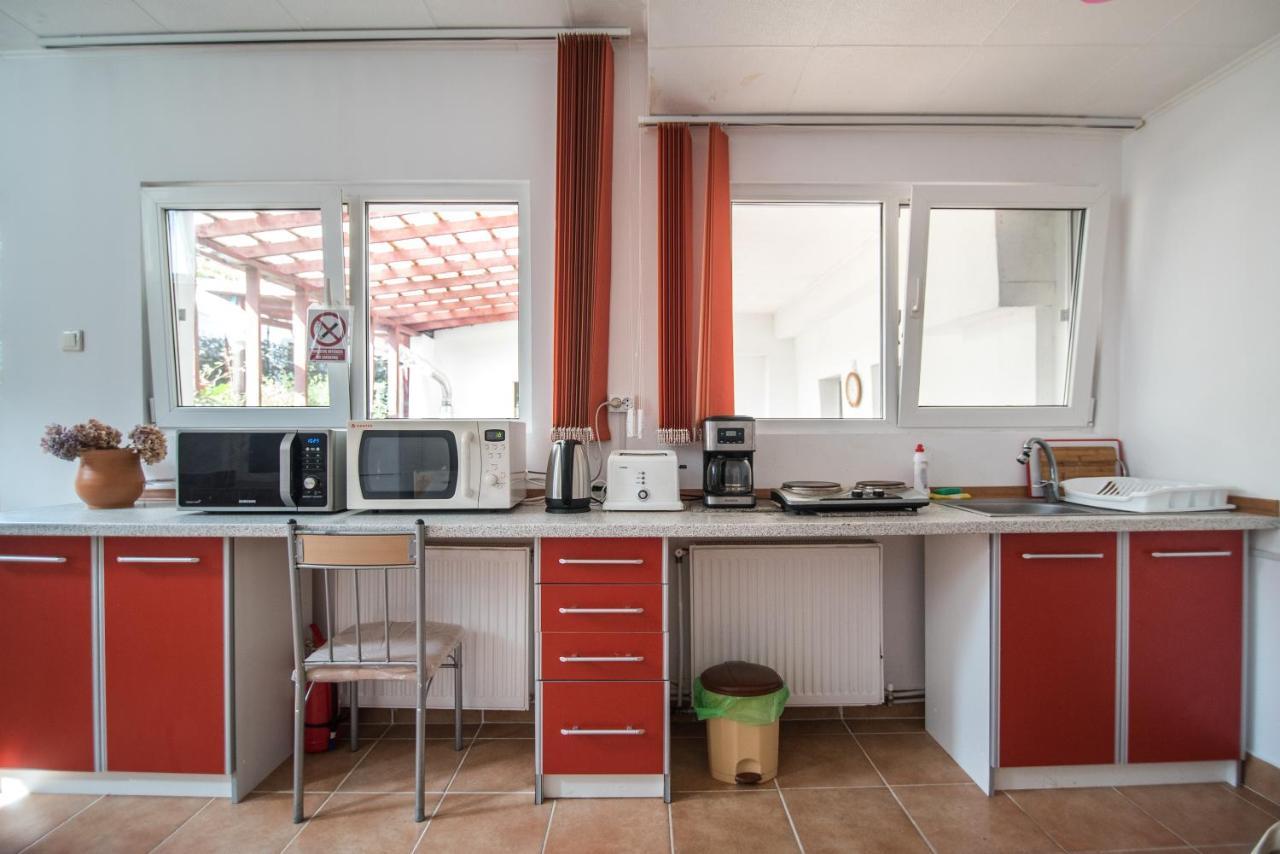 Transylvania Guest House Braşov Buitenkant foto
